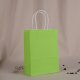 48 Bulk Kraft Paper Gift Carry Shopping Bag 22x16x8cm Green
