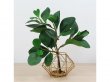 2Pcs Artificial Baby Watercress Leaf Flower Home Decor