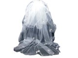 Bridal Veil & Hat