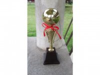 1Pc Golden Plated Trophy Cup Novelty Achievement Award 34cm High