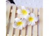 50 New Fabulous Foam Frangipani Flower 4.5x3cm 50 New Fabulous Foam Frangipani Flower 4.5x3cm