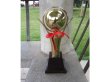 (image for) 1Pc Golden Plated Trophy Cup Novelty Achievement Award 34cm High