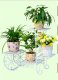 1Set 4 Layer Vintage Flower Plant Display Stand Holder Home