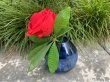 1Pc Modern Transparent Blue Glass Vase Perfect for Floral Arrangements Table Decor (image for) 1Pc Modern Transparent Blue Glass Vase Perfect for Floral Arrangements Table Decor