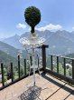 1Set 1-layer Flower Plant Display Stand Holder Home Garden Decor (image for) 1Set 1-layer Flower Plant Display Stand Holder Home Garden Decor