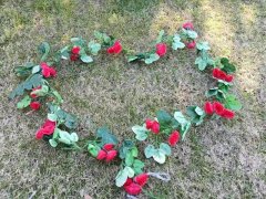 (image for) 6Pcs 36 Flower Head Artificial Red Peony Leaf Garland Vine Strin