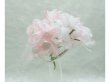(image for) 12Bundle Pink Craft Scrapbooking Wedding Decor Flower 10cm Long