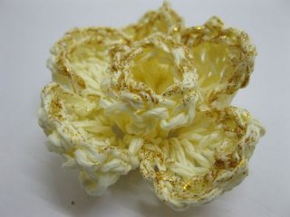 10 Cream Handmade Crochet Paper Flower - 2 Layers