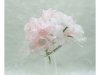 12Bundle Pink Craft Scrapbooking Wedding Decor Flower 10cm Long 12Bundle Pink Craft Scrapbooking Wedding Decor Flower 10cm Long
