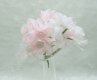 12Bundle Pink Craft Scrapbooking Wedding Decor Flower 10cm Long