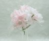12Bundle Pink Craft Scrapbooking Wedding Decor Flower 10cm Long 12Bundle Pink Craft Scrapbooking Wedding Decor Flower 10cm Long