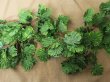 5Pcs Palm Fern Turtle Back Leaf Garland Wedding Flower Arch