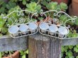1Pc White Wall Mount Hanging 3in1 Plant Pot Stand Flower Pot (image for) 1Pc White Wall Mount Hanging 3in1 Plant Pot Stand Flower Pot