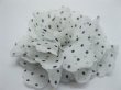 (image for) 10X White Exotisch Decorative Applique Embellishment