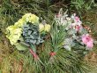 3Pcs Artificial Flowers for Home Garden and Wedding Decoration (image for) 3Pcs Artificial Flowers for Home Garden and Wedding Decoration
