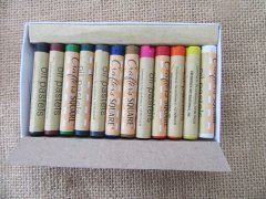 (image for) 12Pcs Oil Pastels Art Crafts DIY Scrapbooking Art Embellishments