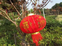 (image for) 1Pc RED Blessing Chinese Palace Lanterns Tassels 54cm dia