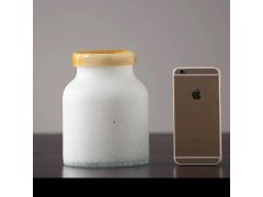 (image for) 1Pc Ceramic Powder White Jar Glass Vase Gold Rim Accent Modern Home Decor