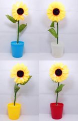 (image for) 24 Flashing Potted Sunflower Wedding Home Decoration