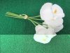 1Bundle X 7Pcs White Artificial Iris Japonica Flowers Foral