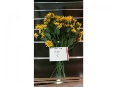 5Pcs Yellow Flower 52cm Long we-flo164 5Pcs Yellow Flower 52cm Long we-flo164