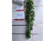 (image for) 4X Greenery Vine Sweet Gum Leaves Garland Decoration Wall Hangin