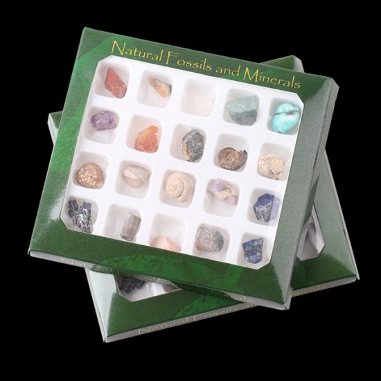 20Pcs Natural Fossils & Minerals Collection Gemstone Stones - Click Image to Close