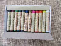 12Pcs Oil Pastels Art Crafts DIY Scrapbooking Art Embellishments