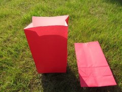 48Pcs Paper Bag Party Lolly Bag Checkout Bag 22x12x6cm Mixed Col 48Pcs Paper Bag Party Lolly Bag Checkout Bag 22x12x6cm Mixed Col