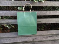 48 Bulk Kraft Paper Gift Carry Shopping Bag 21x15x8cm Green