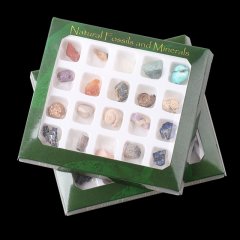 20Pcs Natural Fossils & Minerals Collection Gemstone Stones