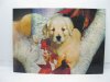 10Pcs Dog Amazing 3D Lenticular Art Photo Picture 34x24cm