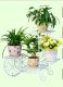 1Set 4 Layer Vintage Flower Plant Display Stand Holder Home 1Set 4 Layer Vintage Flower Plant Display Stand Holder Home