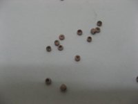 1Bag x 30000pcs Opaque Glass Seed Beads 1.9mm