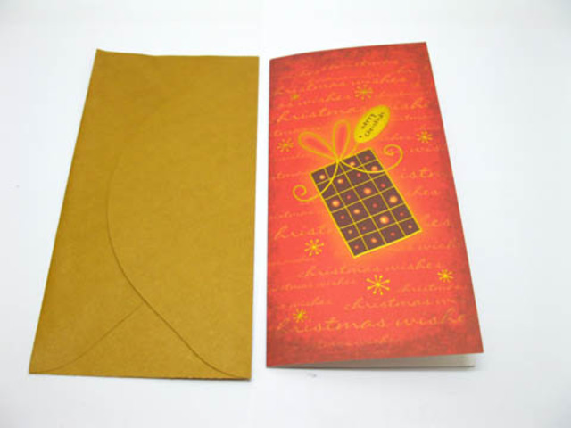 200 Gift Christmas Greeting Gift Cards w/Envelopes