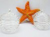 50X Spiral Bead Cages Pendants Findings-Sliver Plated 50X Spiral Bead Cages Pendants Findings-Sliver Plated