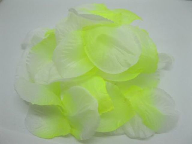 1000 Rose Petals Wedding Party Decoration - White & Green 1000 Rose Petals Wedding Party Decoration - White & Green