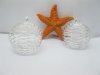 100X Spiral Bead Cages Pendants Findings 30x25mm Size 100X Spiral Bead Cages Pendants Findings 30x25mm Size