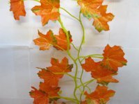 12X Red Maple Leaf Garland Wedding Flower Arch Decoration