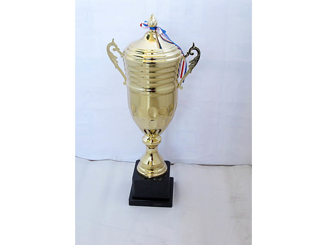 1X Metal Golden Plated Trophy Novelty Achievement Award 62cm Hig 1X Metal Golden Plated Trophy Novelty Achievement Award 62cm Hig