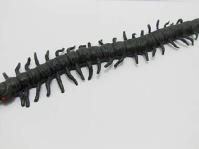 30 Soft Plastic Vivid Scolopendra Great Toy 150mm 30 Soft Plastic Vivid Scolopendra Great Toy 150mm