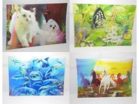 10Pcs Amazing 3 D Lenticular Art Photo Picture 24x34cm Assorted