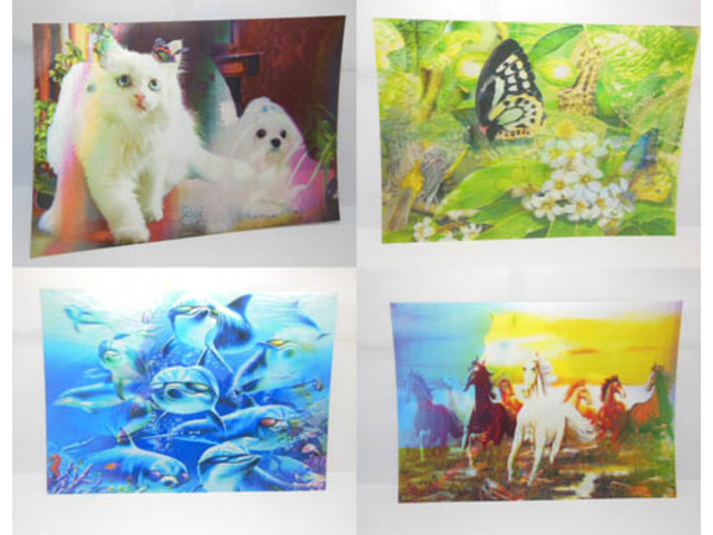 10Pcs Amazing 3 D Lenticular Art Photo Picture 24x34cm Assorted