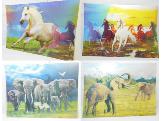 10Pcs Amazing 3D Lenticular Art Photo Picture 28x39cm Assorted