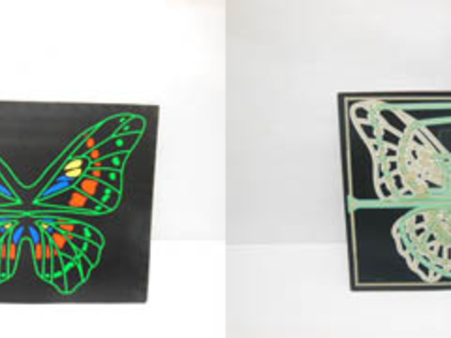 1X Butterfly Light Up Flashing LED Glow Equalizer 1X Butterfly Light Up Flashing LED Glow Equalizer