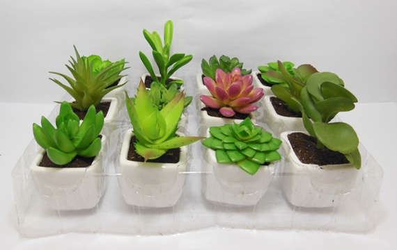 12 New Mini Artificial Potted Plant Desktop Decoration - Click Image to Close