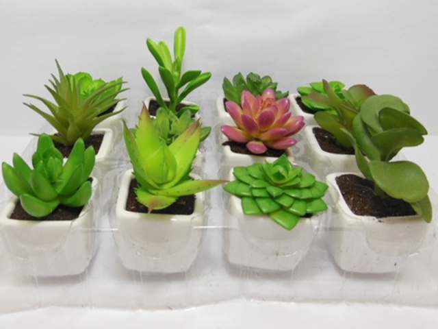 12 New Mini Artificial Potted Plant Desktop Decoration - Click Image to Close