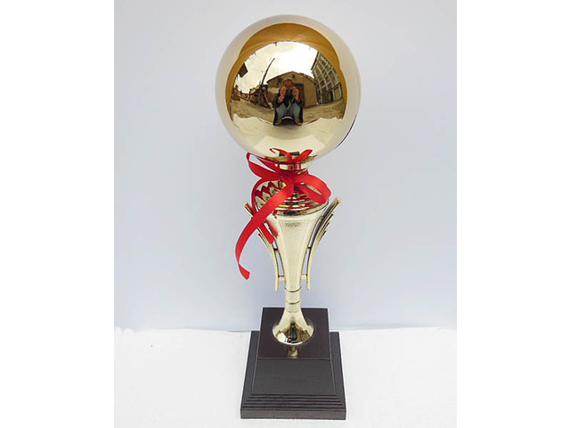 1Pc Golden Plated Trophy Novelty Achievement Award 45cm High 1Pc Golden Plated Trophy Novelty Achievement Award 45cm High