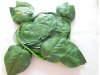 12X Artificial Apple Leaf Garland Wedding Flower Arch Decoration 12X Artificial Apple Leaf Garland Wedding Flower Arch Decoration