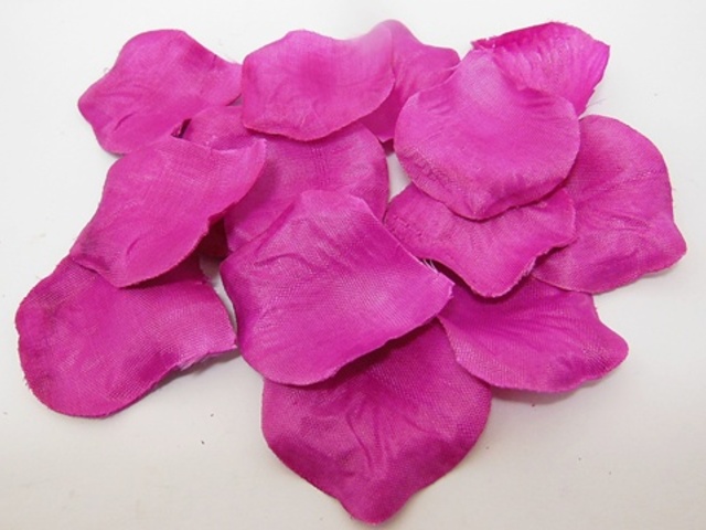 1000X Rose Petals Wedding Party Decoration - Purple